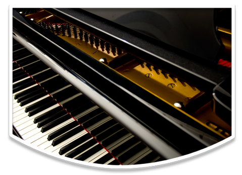 slider11
