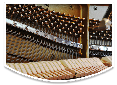 slider21